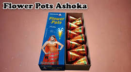 FLOWER POTS ASOKA FLOWER POTS ASOKA